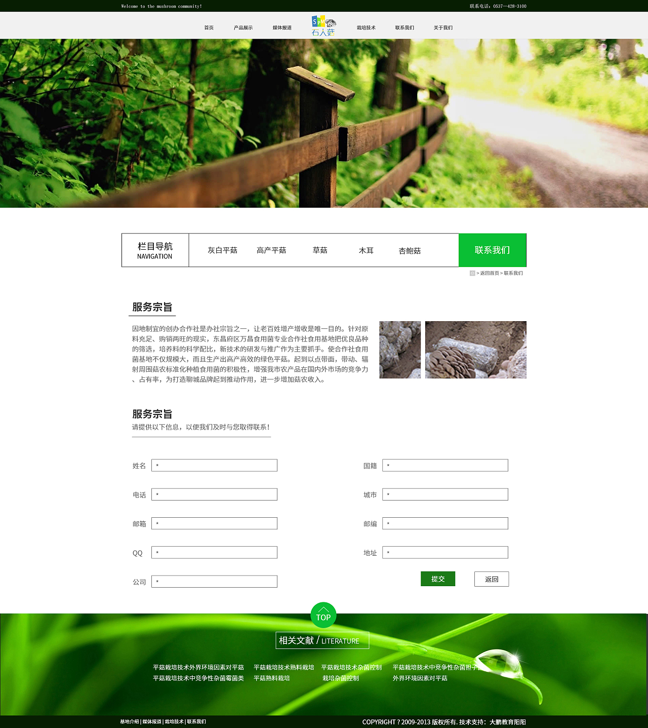 農(nóng)產(chǎn)品蘑菇網(wǎng)頁(yè)設(shè)計(jì) 從視覺(jué)到用戶(hù)體驗(yàn)的全面指南